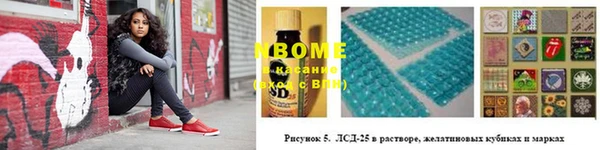 ГАЛЛЮЦИНОГЕННЫЕ ГРИБЫ Болхов