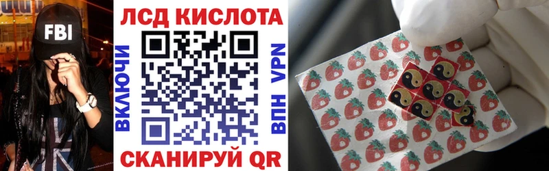 продажа наркотиков  Пошехонье  Наркотические марки 1,8мг 
