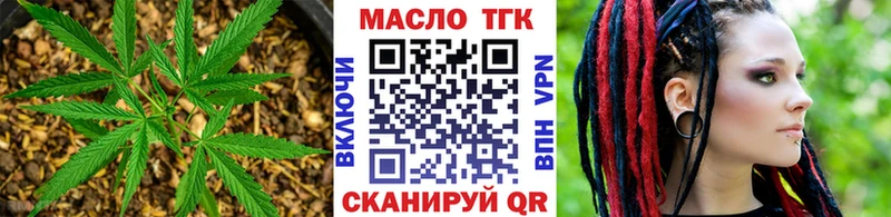 цены   Пошехонье  ТГК концентрат 
