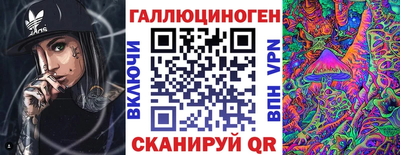 дарк нет официальный сайт  как найти   Пошехонье  Галлюциногенные грибы Psilocybine cubensis 